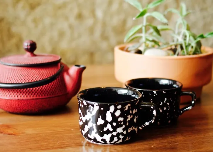 ベッド・アンド・ブレックファスト Boreal Porto Gaia - Patio & Pool 4*