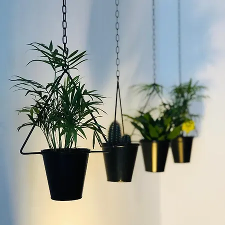 Boreal Porto Gaia - Patio & Pool ベッド・アンド・ブレックファスト 4*