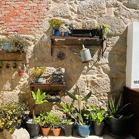 Bed & Breakfast Boreal Porto Gaia - Patio & Pool 4*
