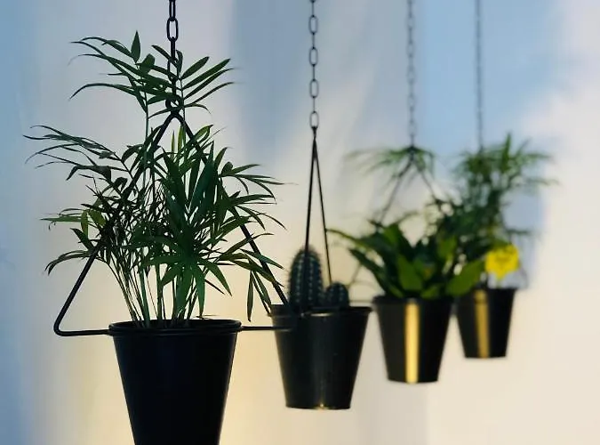 Boreal Porto Gaia - Patio & Pool Frühstückspension 4*